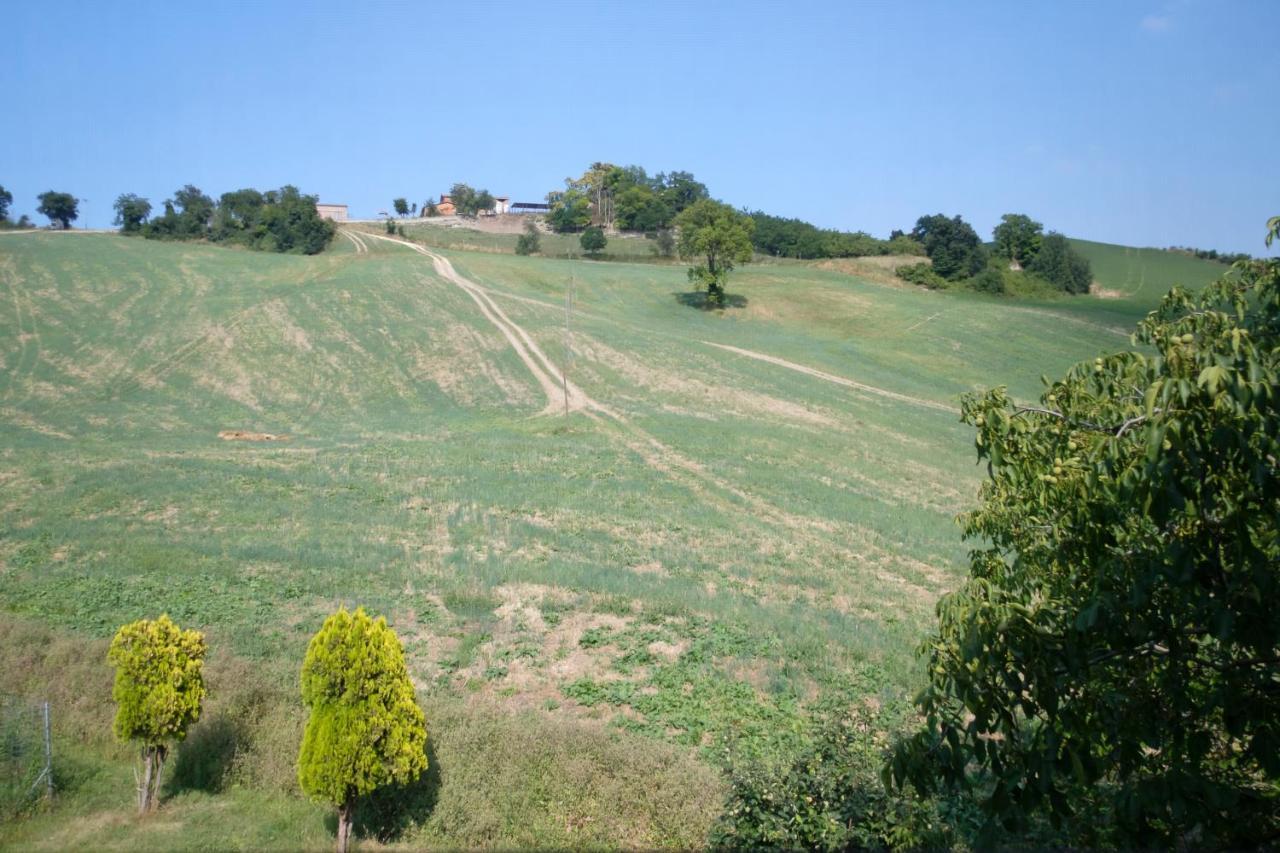 Al Sasseto B&B Montagnana  Extérieur photo