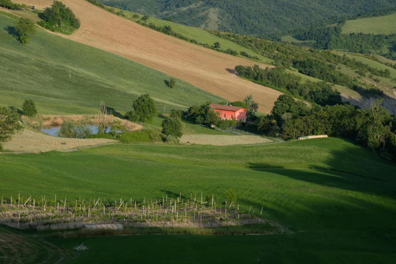Al Sasseto B&B Montagnana  Extérieur photo